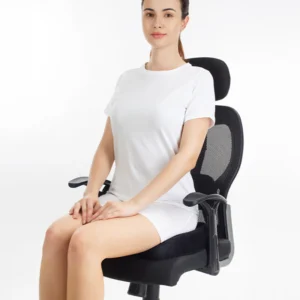 life wear Back   Rest