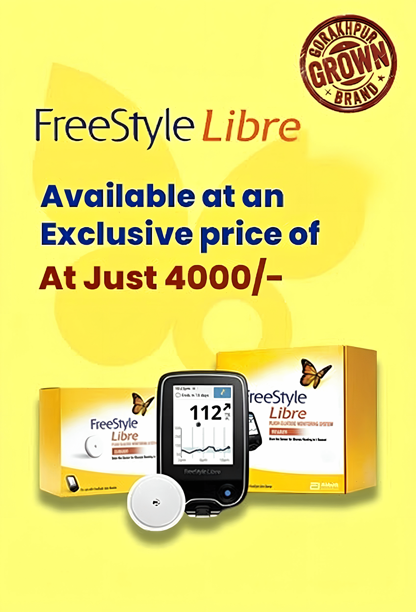 Freestyle Libre System